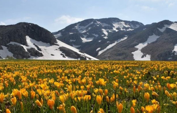 4x4 Geyik Dağları: Kültür ve Doğa Turu